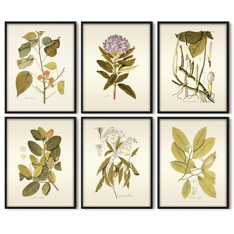 Herbaceous Plant Wall Art Pain - đánh giá và giá Office Furniture York