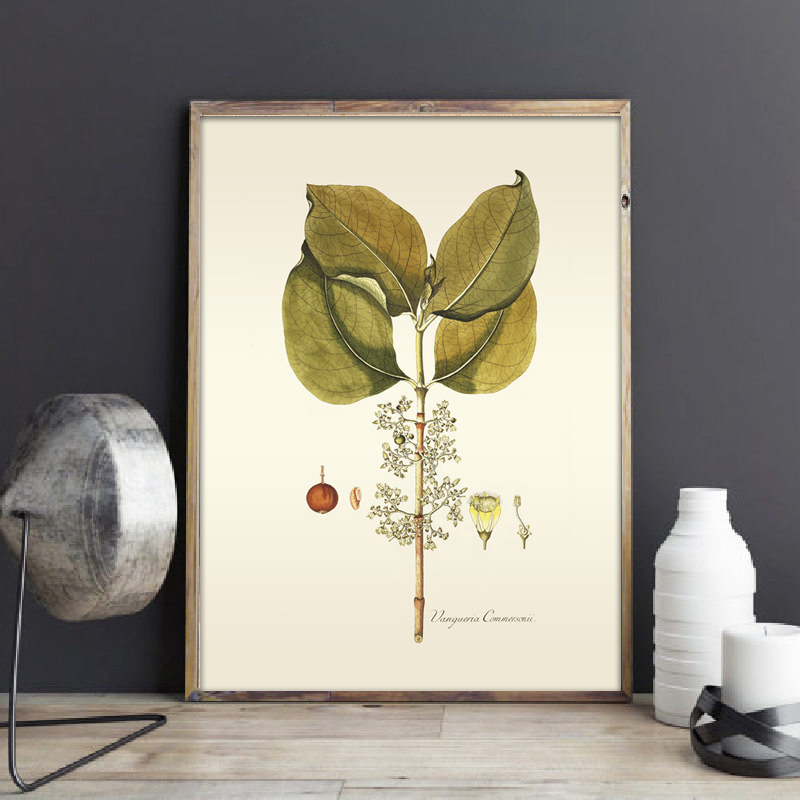 Herbaceous Plant Wall Art Pain - đánh giá và giá Office Furniture York