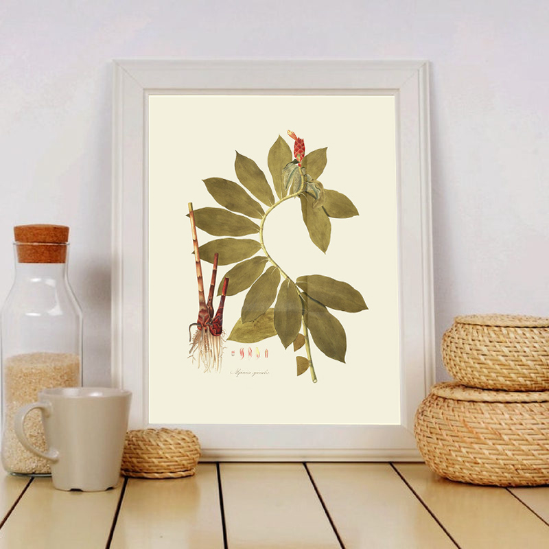 Herbaceous Plant Wall Art Pain - đánh giá và giá Office Furniture York