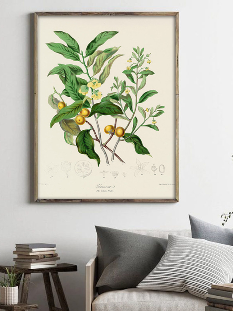 Herbaceous Plant Wall Art Pain - đánh giá và giá Office Furniture York